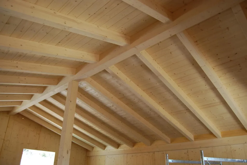 produzione legno bms eurolegno 2